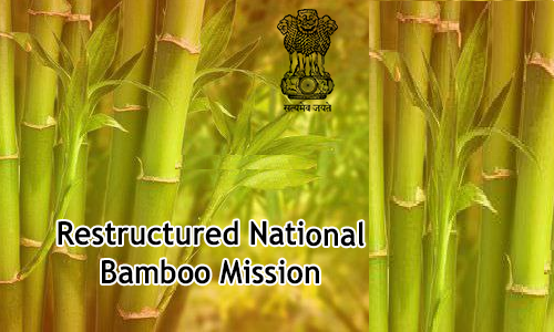 Restructured National Bamboo Mission(NBM)