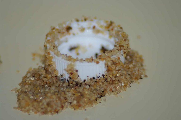 Ants adapt tool use to avoid drowning