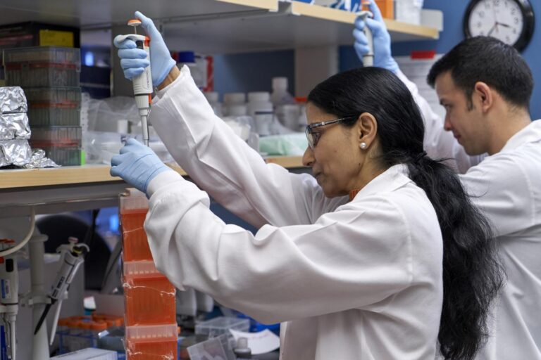 Army researchers collaborate