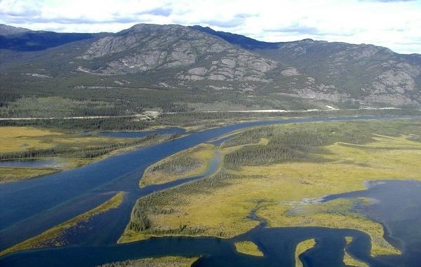 Mercury concentrations in Yukon river fish could surpass EPA criterion by 2050