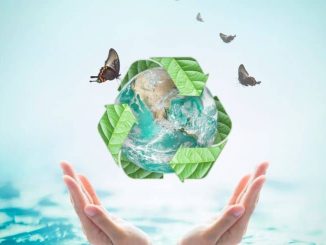 Paper recycling must be powered by renewables to save climate