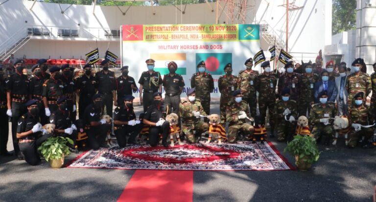 20 fully trained Military