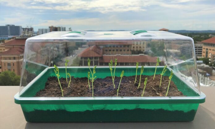 Self-watering soil could transform farming