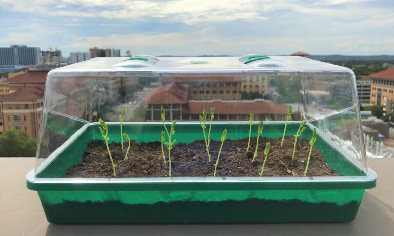 Self-watering soil could transform farming