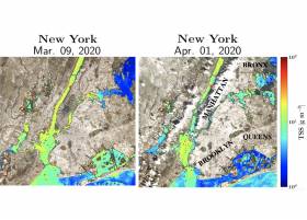 Environmental impacts of the COVID-19 pandemic