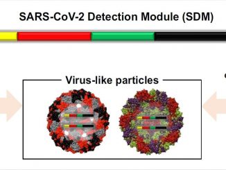 SARS-CoV-2 virus detected