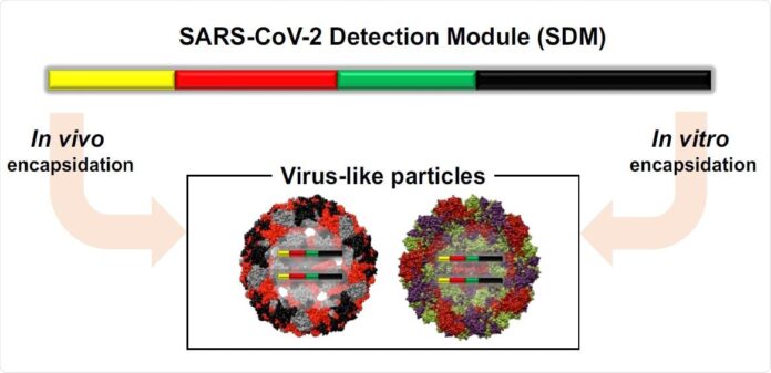 SARS-CoV-2 virus detected