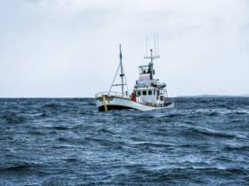 Satellite data identifies companies fishing in high seas