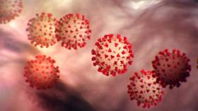 Update on New Strain of novel Coronavirus from U.K.