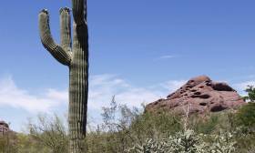 Arizona economic burden