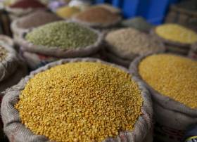 Procurement of Pulses and Oilseeds benefitte
