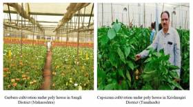 National Horticulture Board clears