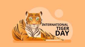 International Tiger Day