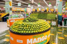 Mango export promotion