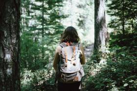 Nature-based activities can improve mood and reduce anxiety finds University of York