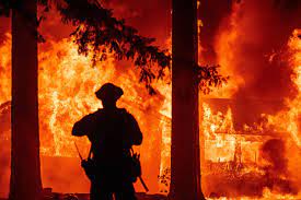 forest fires