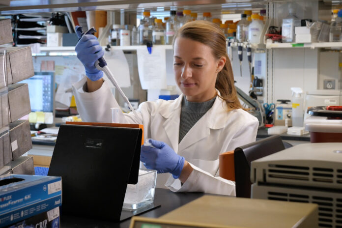 For stem cells, bigger doesn’t mean better