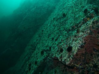 Exploring carbon storage deep beneath the seabed