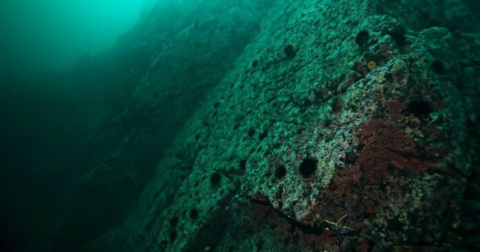 Exploring carbon storage deep beneath the seabed