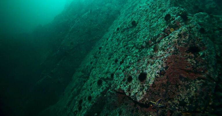 Exploring carbon storage deep beneath the seabed