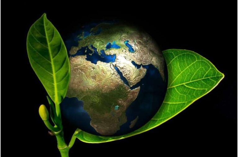 Climate and soil determine the distribution of plant traits