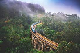 NY sri lanka image