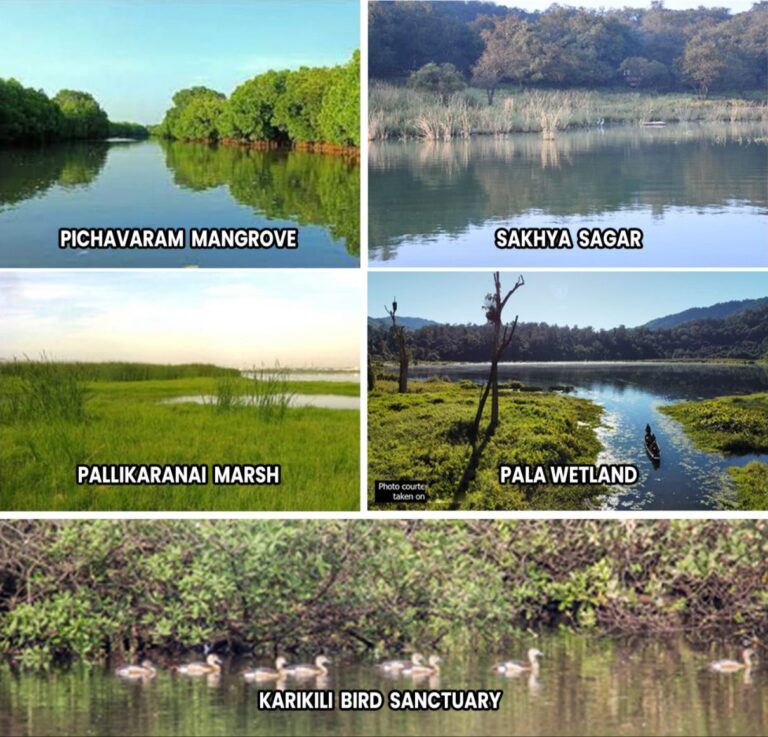 Ramsar Sites
