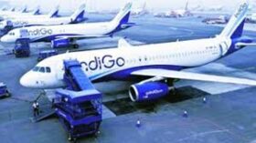 Indigo