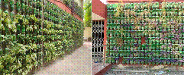 Creation of vertical gardens by the Income Tax Dept