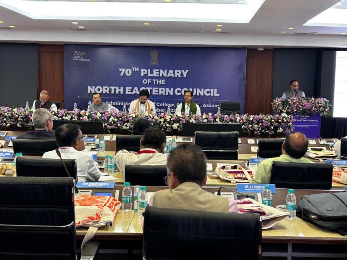North Eastern Council