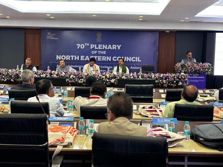North Eastern Council