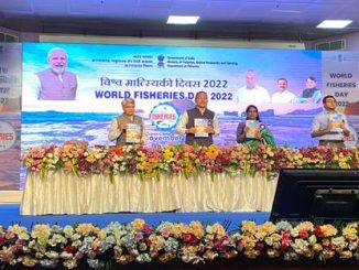 World Fisheries Day