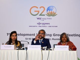 G20 Development Working Group
