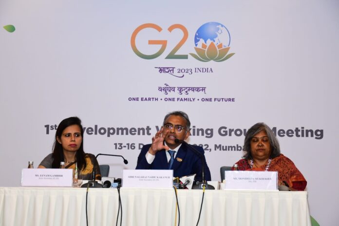 G20 Development Working Group