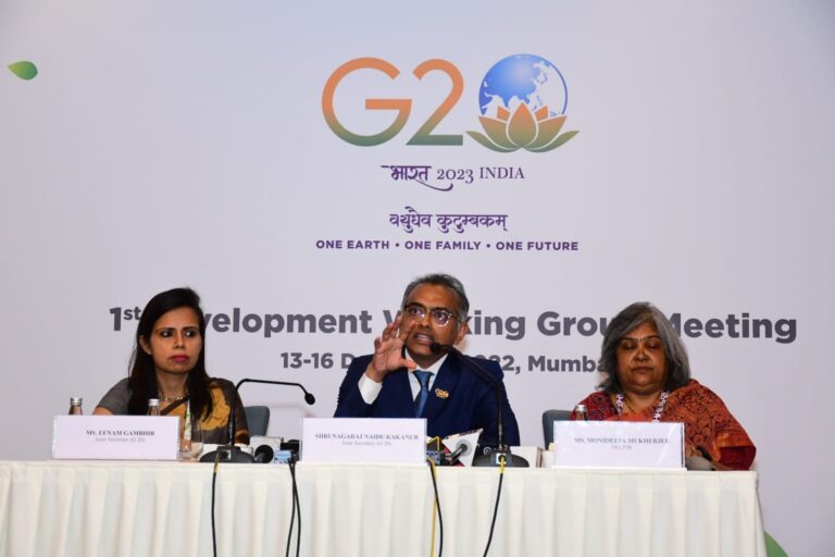 G20 Development Working Group