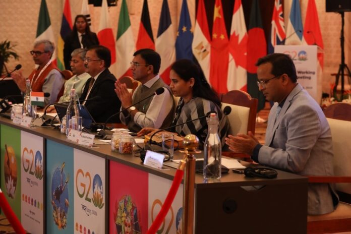G20 Health Working Group