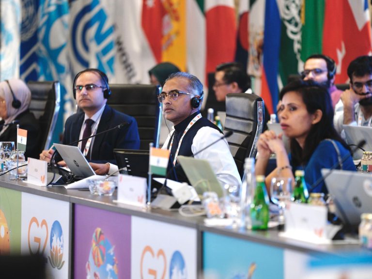G20 Development Working Group