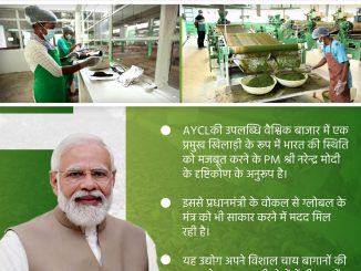 PM Modi praises 431% increase in tea exports by
