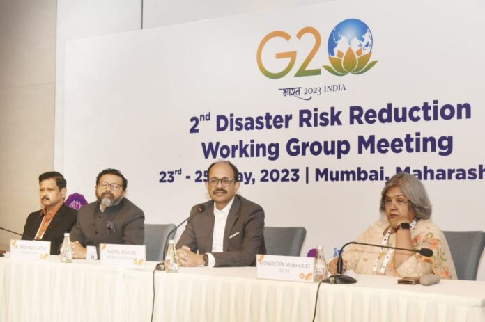 The Second Disaster Risk Reduction Working Group