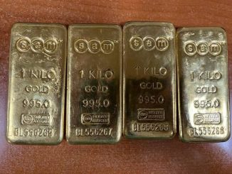 DRI seizes 10 kg smuggled gold