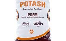 Potash e1708645125697