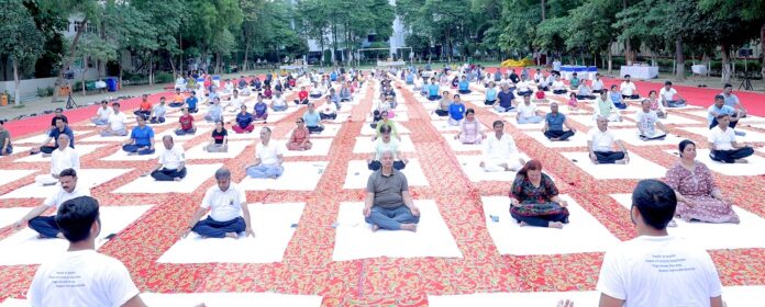 Powergrid_YogaDay